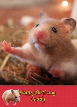 Personalised Hamster Card
