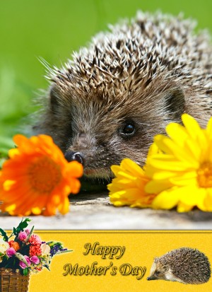 Hedgehog Mother's Day Card