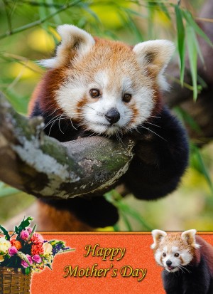 Red Panda Mother's Day Card
