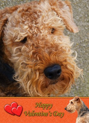 Airedale Terrier Valentine's Day Card