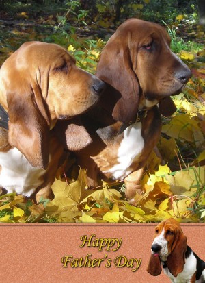 Basset Hound Father's Day Card