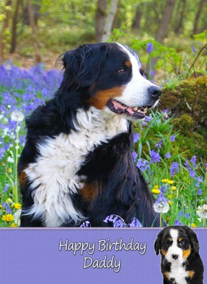 Personalised Bernese Mountain Dog Card