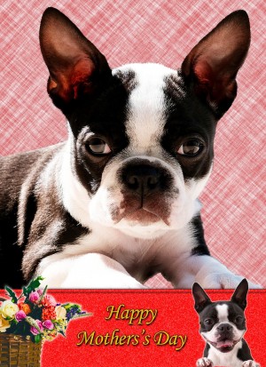 Boston Terrier Mother's Day Card