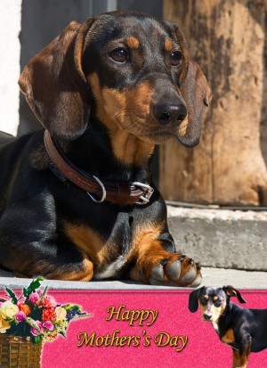 Dachshund Mother's Day Card