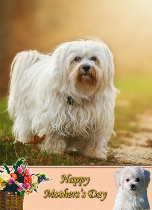 Havanese Mother's Day Card