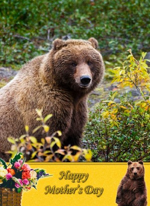 Grizzly Bear Mother's Day Card
