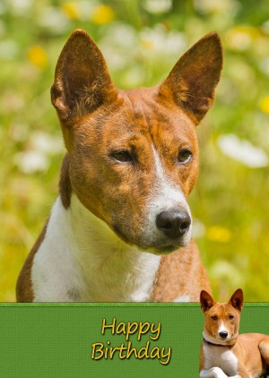 Basenji Dog Birthday Card