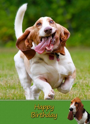 Basset Hound Dog Birthday Card