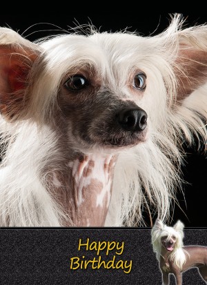 Chinese Crested Dog Birthday Card