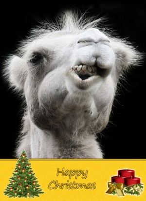 Camel christmas card