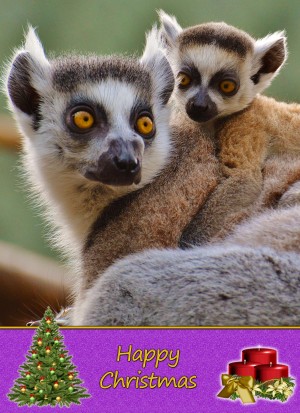 Lemur christmas card