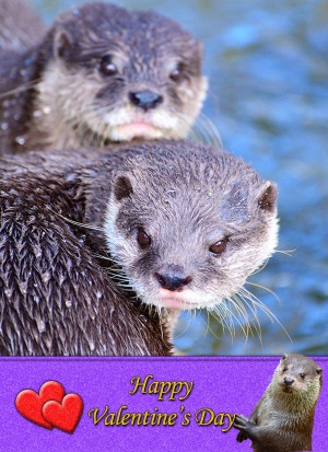 Otter Valentine's Day Card