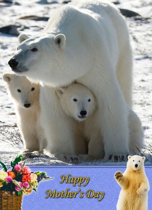 Polar Bear Mother's Day Card