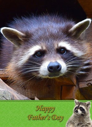 Raccoon Father's Day Card