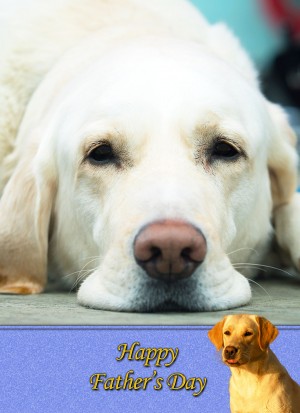 Golden Labrador Father's Day Card