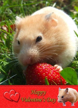 Hamster Valentine's Day Card