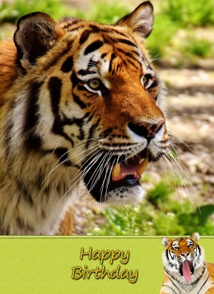 Tiger Birthday Card