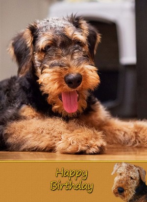 Airedale Birthday Card