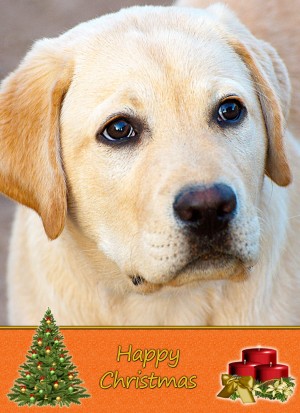 Golden Labrador christmas card