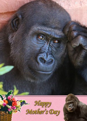 Gorilla Mother's Day Card