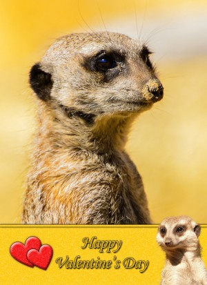 Meerkat Valentine's Day Card