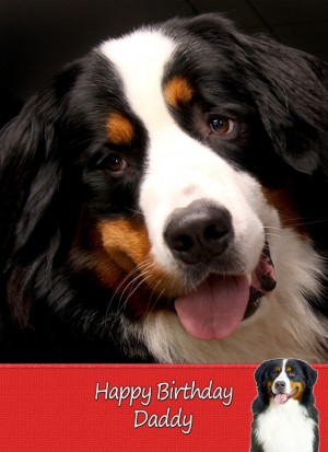 Personalised Bernese Mountain Dog Card