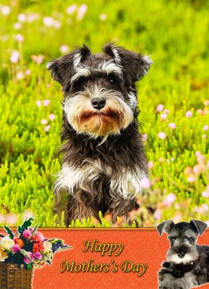 Miniature Schnauzer Mother's Day Card