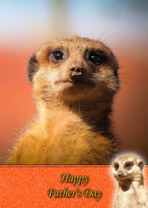 Meerkat Father's Day Card