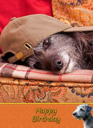 Lurcher Dog Birthday Card