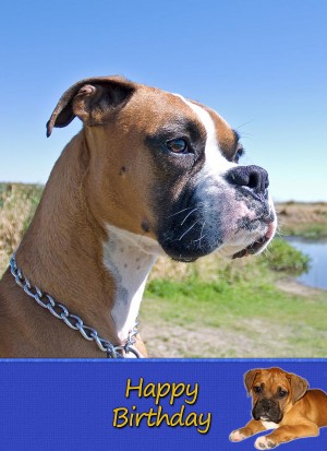 Boxer Dog Birthday Card