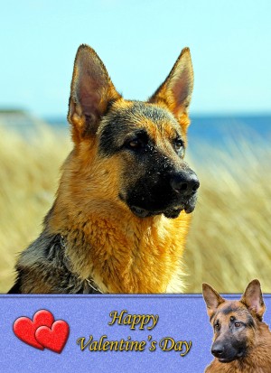 German Shepherd Valentine's Day Card