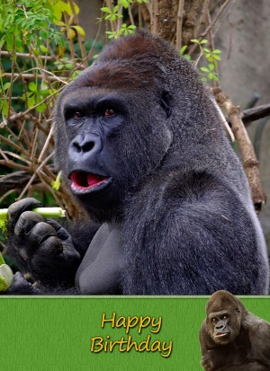 Gorilla Monkey Birthday Card