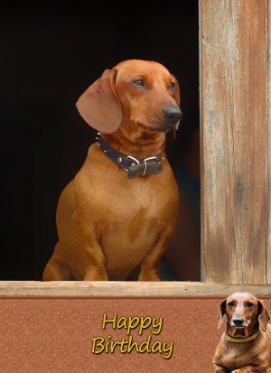 Dachshund Sausage Dog Birthday Card