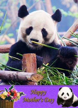 Panda Mother's Day Card