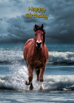 Horse Birthday Card