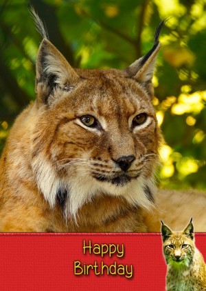 Lynx Birthday Card