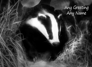 Personalised Badger Black and White Art Greeting Card (Birthday, Christmas, Any Occasion)