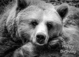 Bear Black and White Art Birthday Card