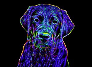 Black Labrador Neon Art Blank Greeting Card