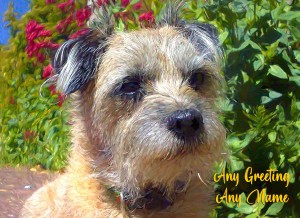 Personalised Border Terrier Art Greeting Card (Birthday, Christmas, Any Occasion)