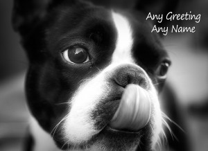 Personalised Boston Terrier Black and White Art Greeting Card (Birthday, Christmas, Any Occasion)