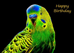 Budgie Neon Art Birthday Card
