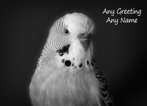Personalised Budgie Black and White Art Greeting Card (Birthday, Christmas, Any Occasion)