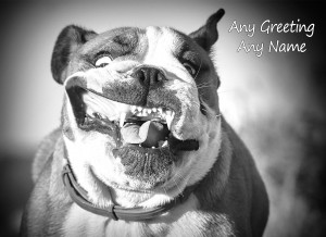 Personalised Bulldog Black and White Greeting Card (Birthday, Christmas, Any Occasion)