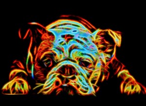 Bulldog Neon Art Blank Greeting Card