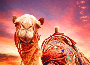 Camel Art Blank Greeting Card