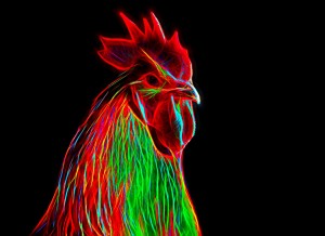 Chicken Neon Art Blank Greeting Card
