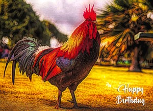 Chicken Art Birthday Card