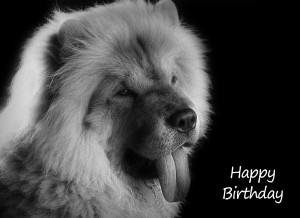 Chow Chow Black and White Art Birthday Card