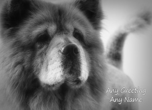 Personalised Chow Chow Black and White Art Greeting Card (Birthday, Christmas, Any Occasion)